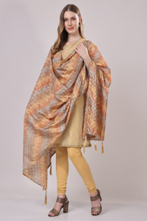 Chanderi Silk Dupatta – Orange & Grey